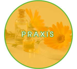 NaturheilpraxisStrixner_Praxis